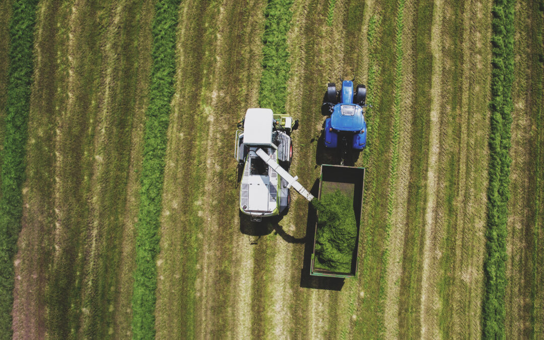 Showing a Net Profit: Why It’s So Important